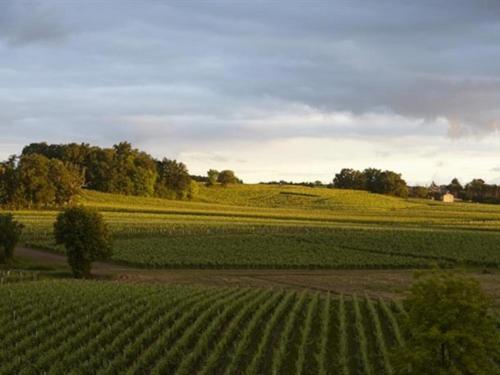 Château La Rose Perriere Lussac (Gironde)